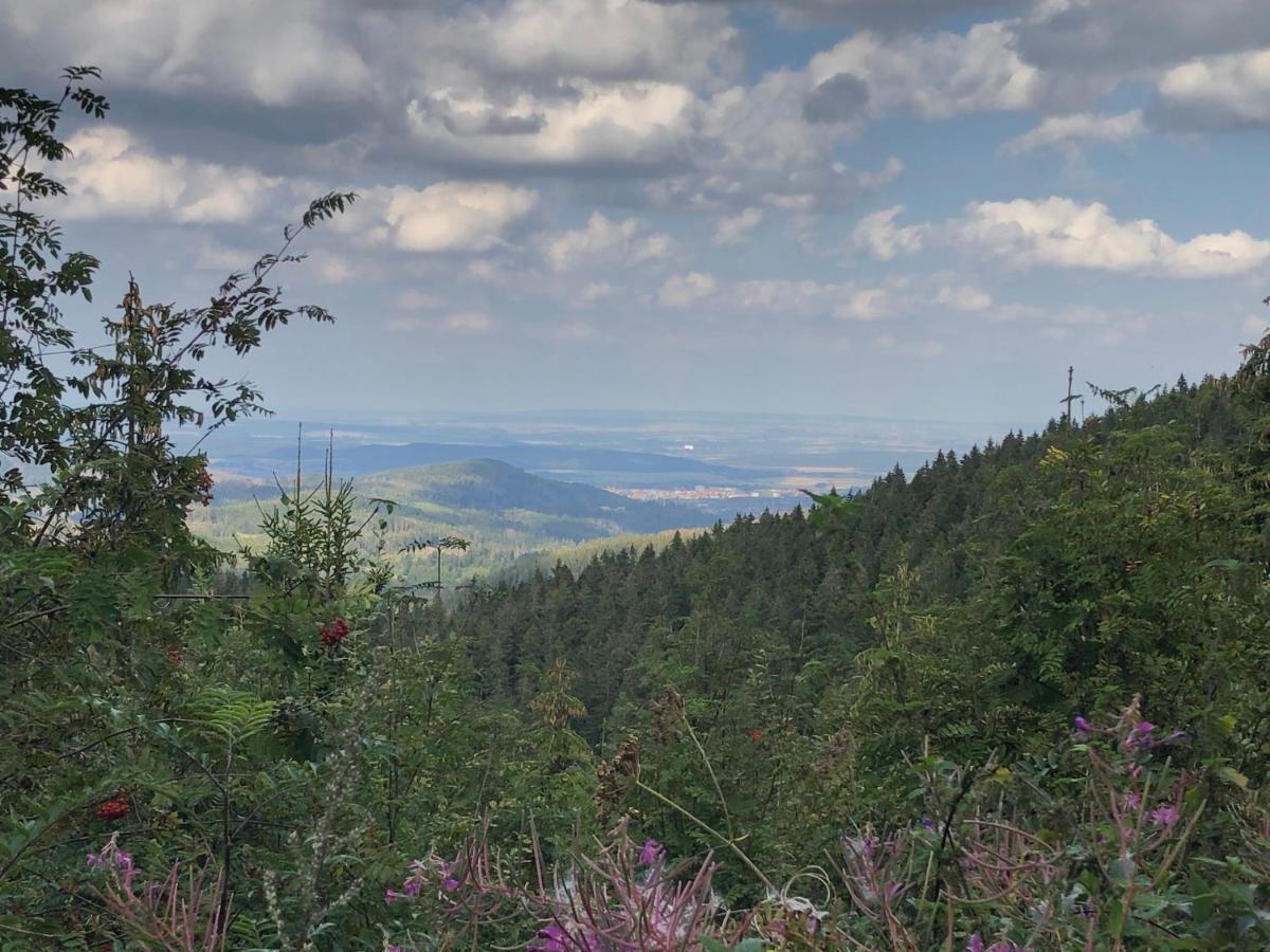 Bocksbergglueck In Hahnenklee, Endreinigung, Bezogene Betten, Handtuecher Inklusive Goslar Ngoại thất bức ảnh